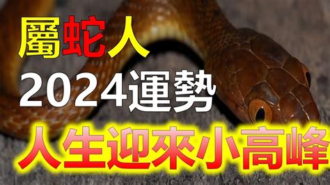 蛇的幸運顏色|2024屬蛇幾歲、2024屬蛇運勢、幸運色、財位、禁忌